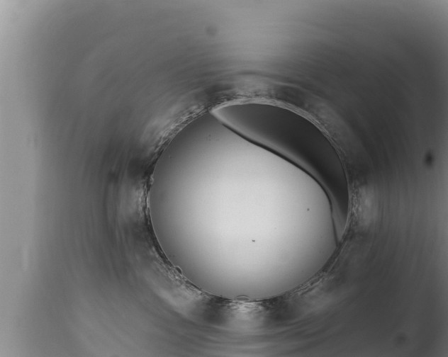 X0000112820333200908281537