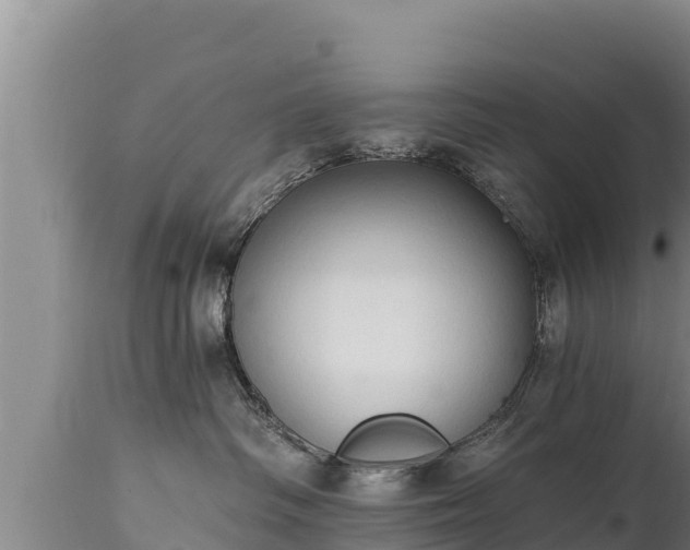 X0000112820334200908281537