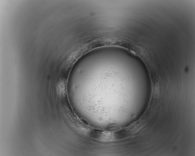 X0000112820335200908281537