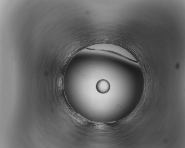 X0000112820336200908281537