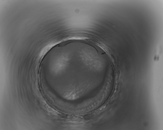 X0000112820337200908281536