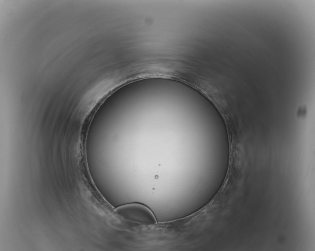 X0000112820338200908281536