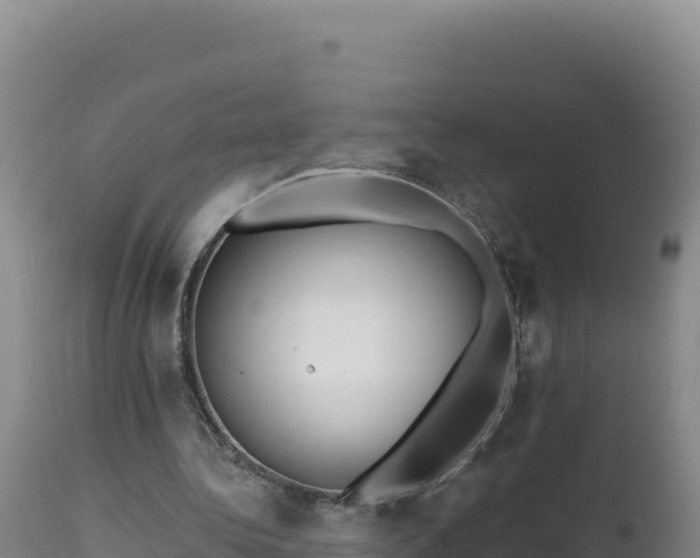 X0000112820340200908281536