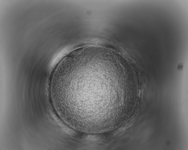 X0000112820341200908281536