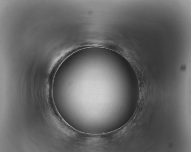 X0000112820342200908281536