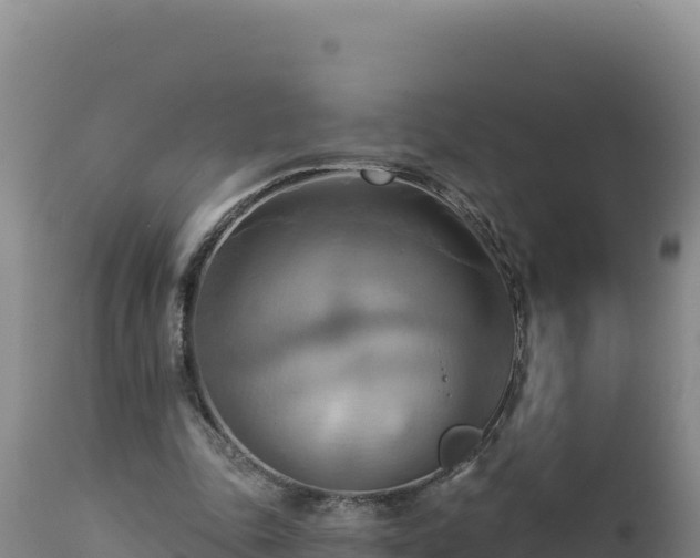 X0000112820343200908281536