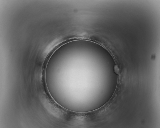 X0000112820344200908281536