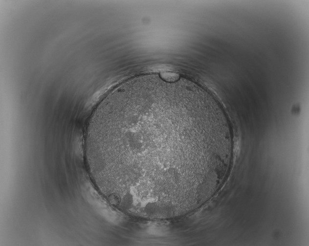 X0000112820345200908281536