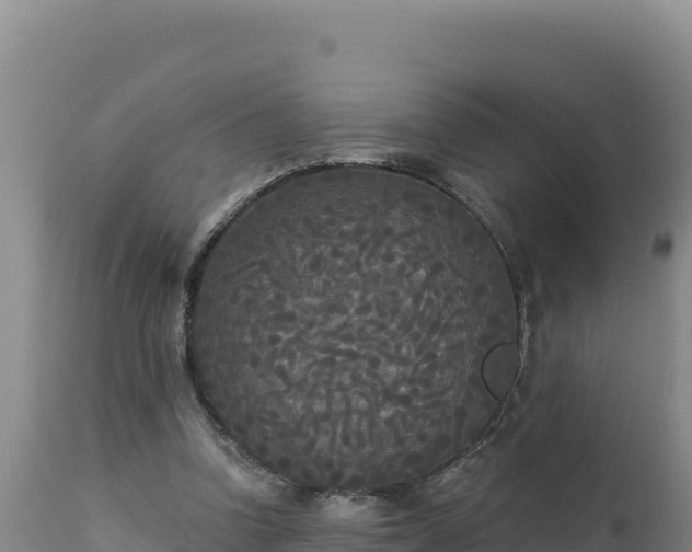 X0000112820346200908281536