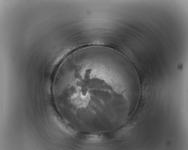 X0000112820347200908281536