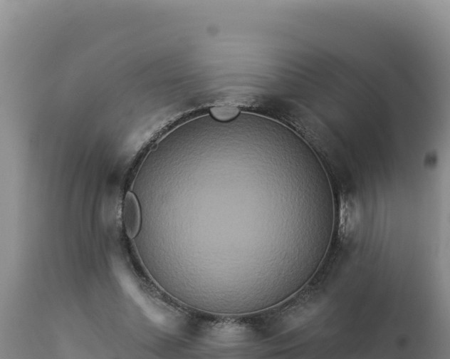 X0000112820348200908281536