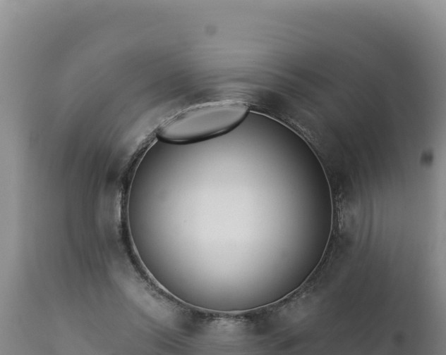 X0000112820350200908281536