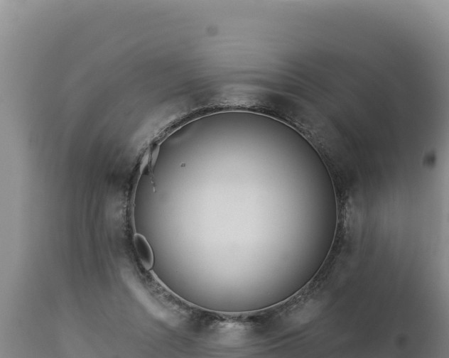 X0000112820352200908281536