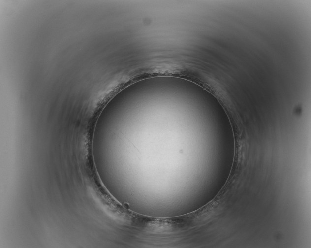 X0000112820354200908281536