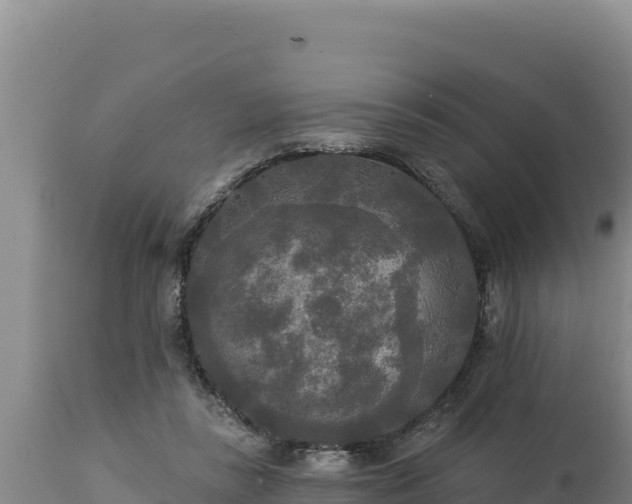 X0000112820355200908281536