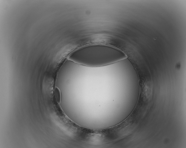 X0000112820356200908281536