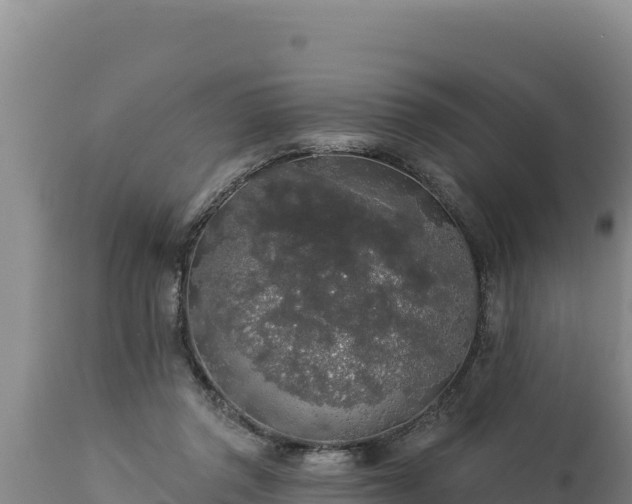 X0000112820357200908281536