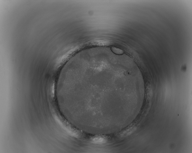 X0000112820358200908281536