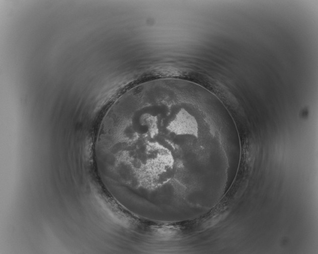 X0000112820359200908281536