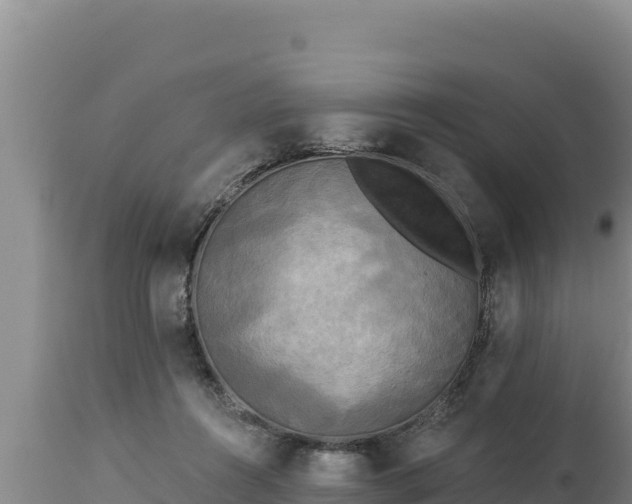 X0000112820360200908281536