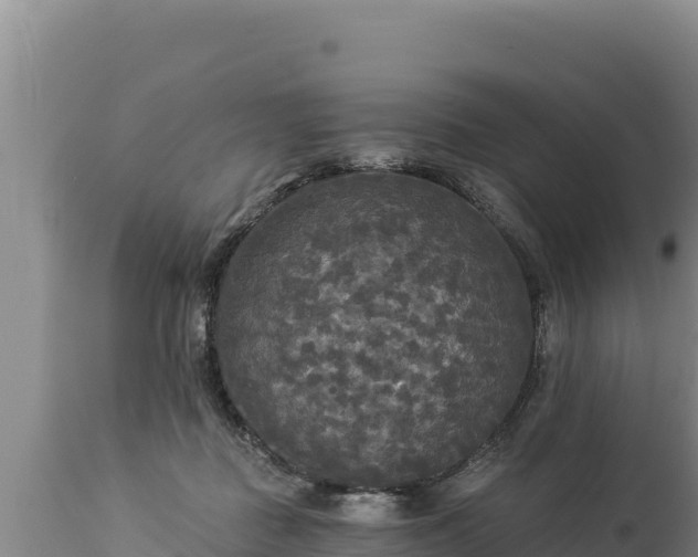 X0000112820363200908281536