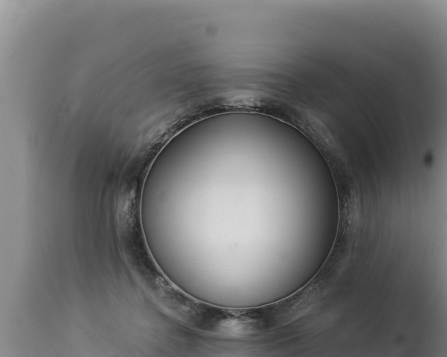 X0000112820364200908281536