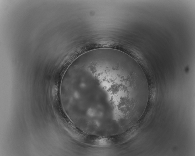 X0000112820365200908281536