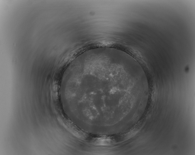 X0000112820366200908281536