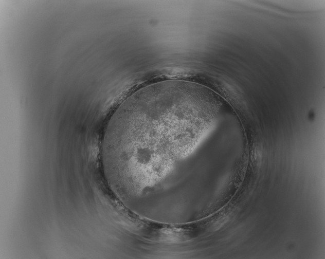 X0000112820367200908281536