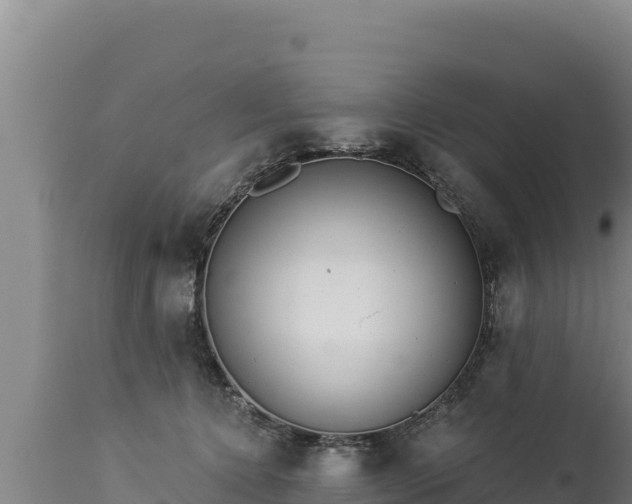 X0000112820368200908281536