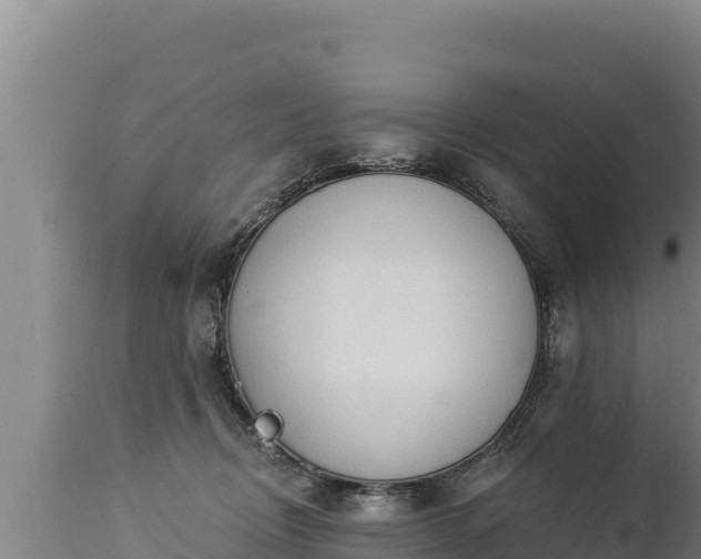 X0000112820370200908281536