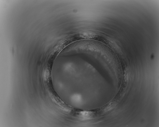 X0000112820371200908281536