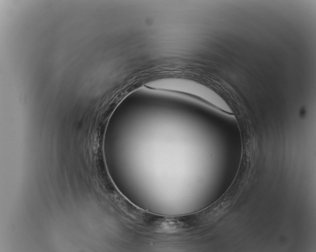 X0000112820372200908281536