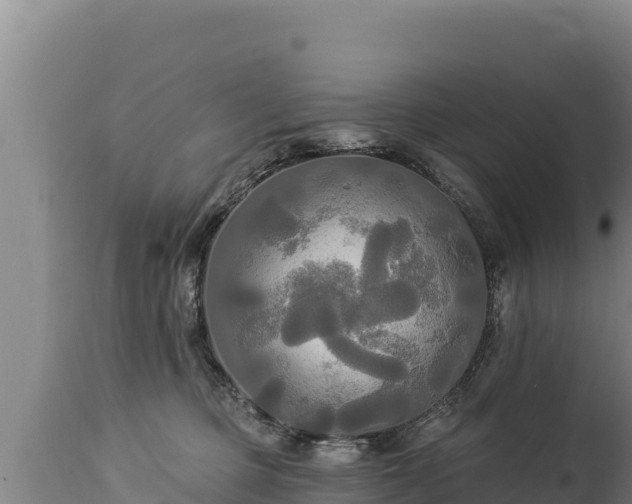 X0000112820373200908281536