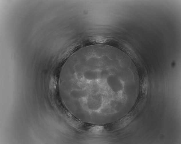 X0000112820374200908281536