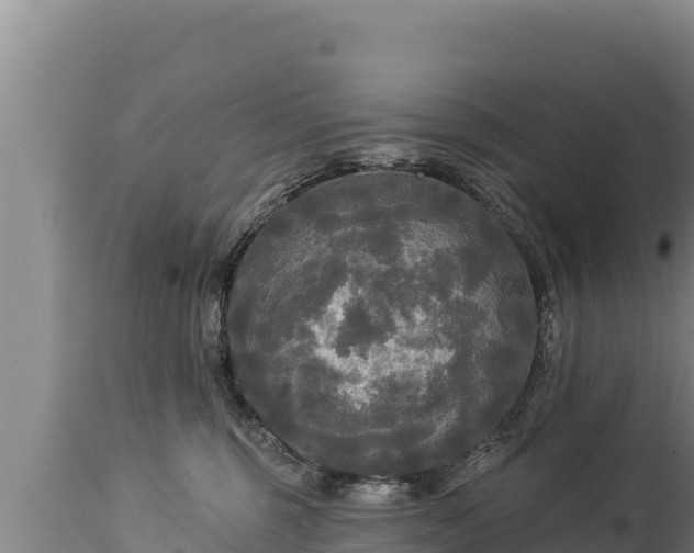 X0000112820375200908281536