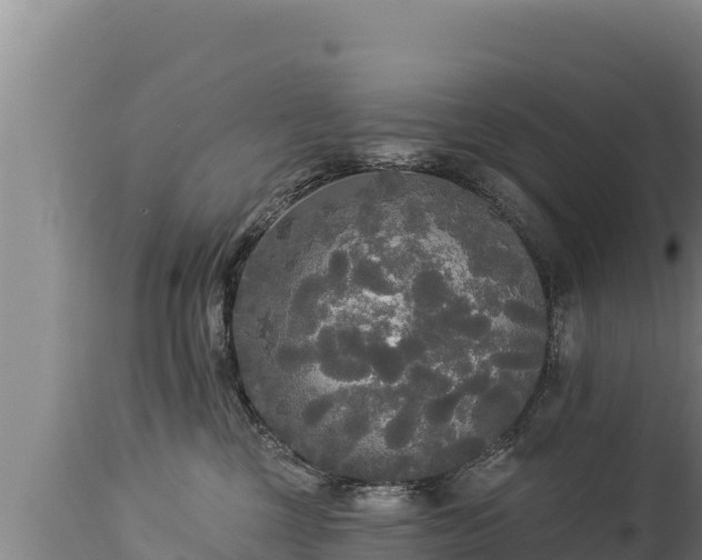 X0000112820377200908281536