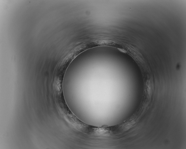 X0000112820380200908281537