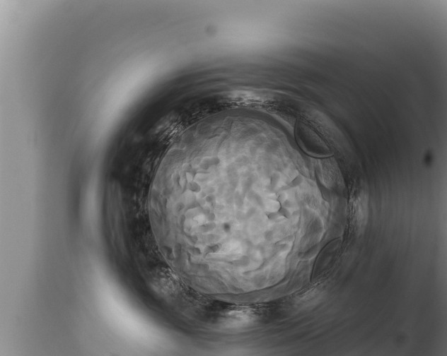 X0000112820381200908281537