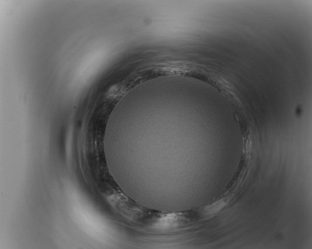 X0000112820382200908281537