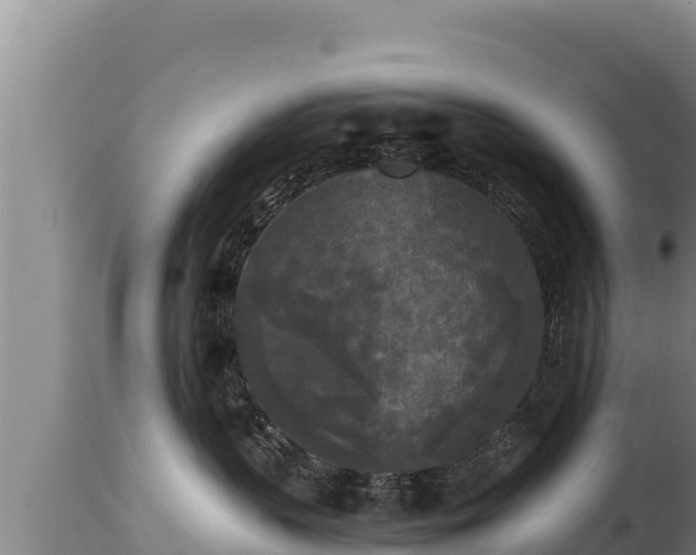 X0000112820383200908281537