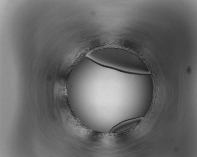 X0000112820384200908281537