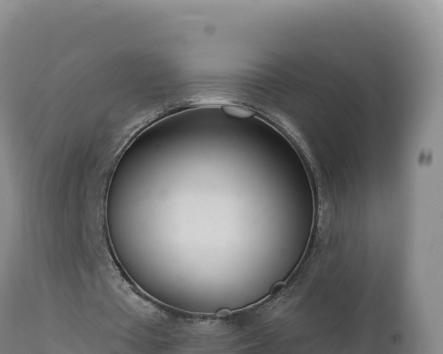 X0000112820385200908281536