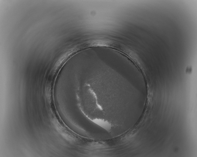 X0000112820386200908281536