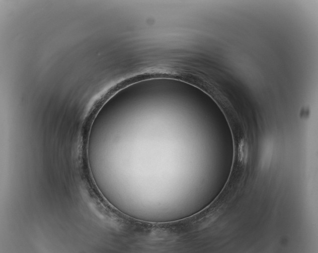 X0000112820388200908281536