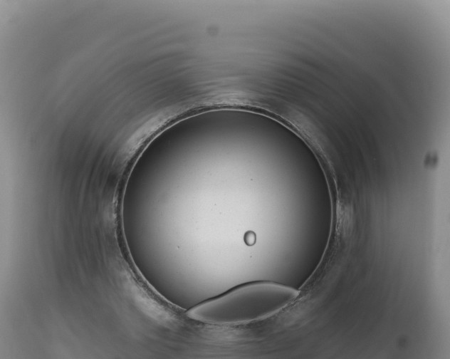 X0000112820389200908281536