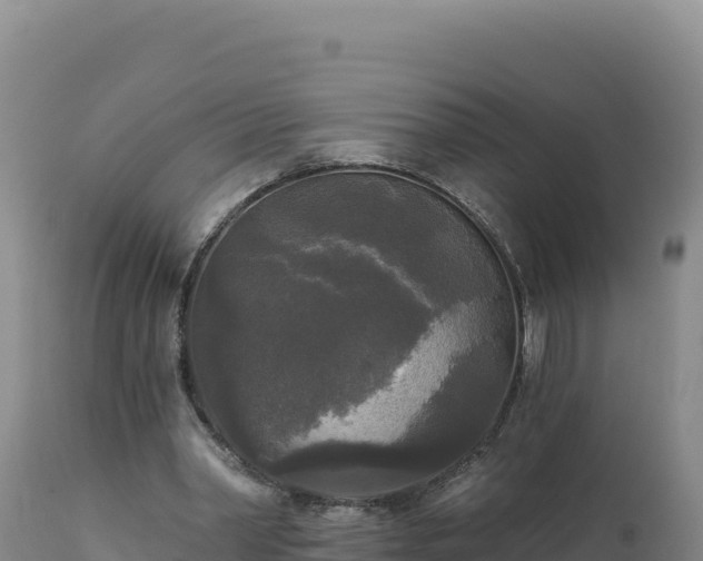 X0000112820390200908281535