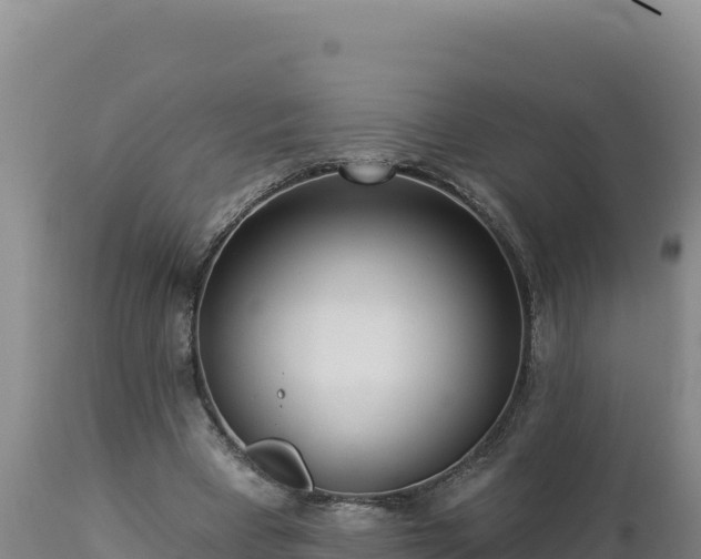 X0000112820393200908281535