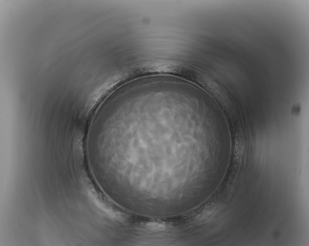 X0000112820394200908281535