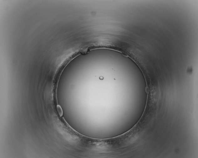 X0000112820395200908281535